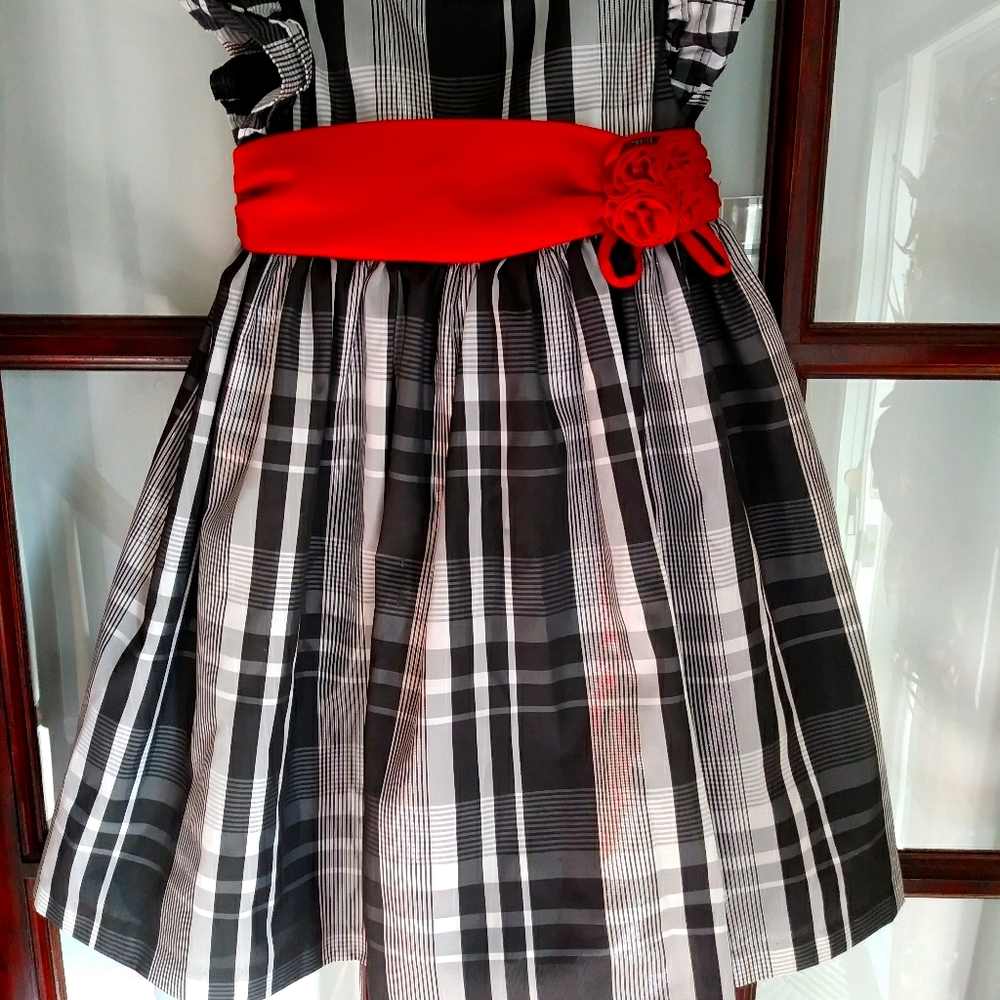 Holiday / Christmas Dress